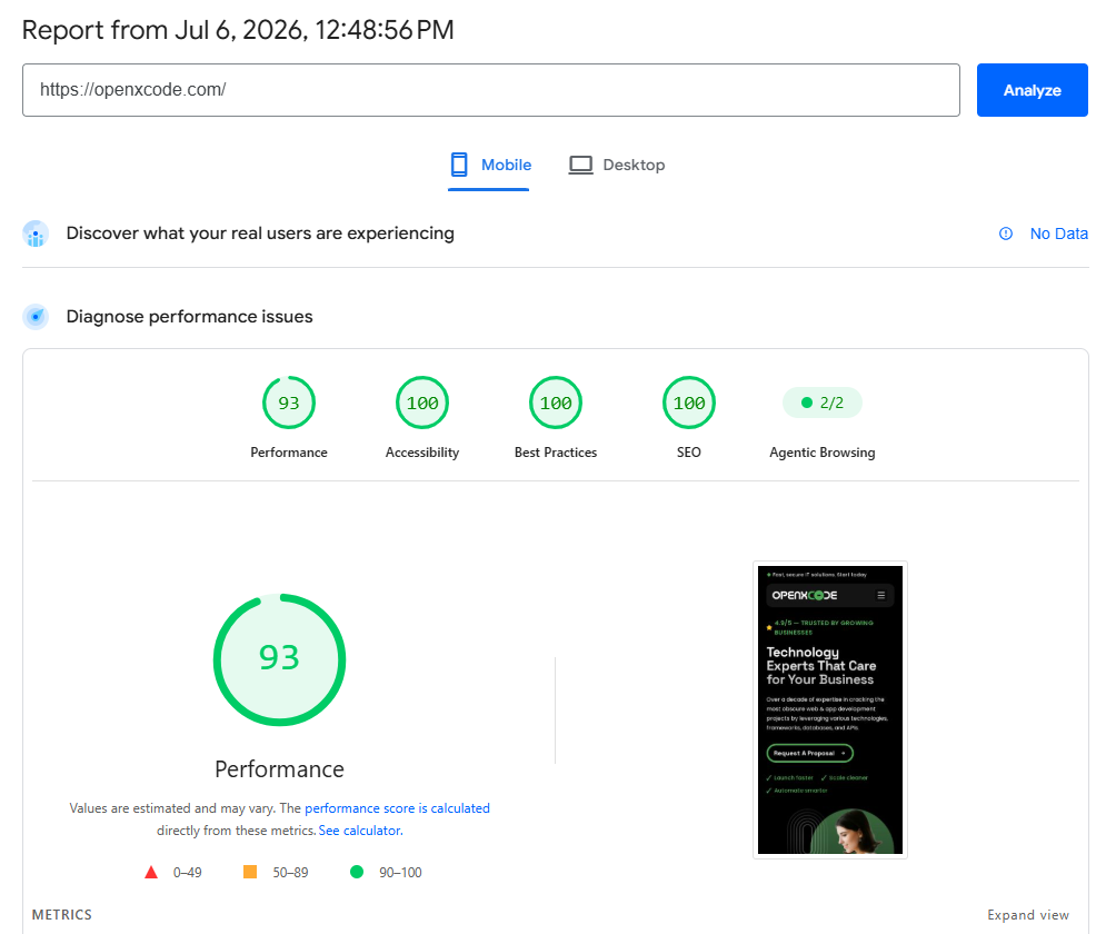 OpenXcode PageSpeed Insights — Performance 93, Accessibility 100, SEO 100